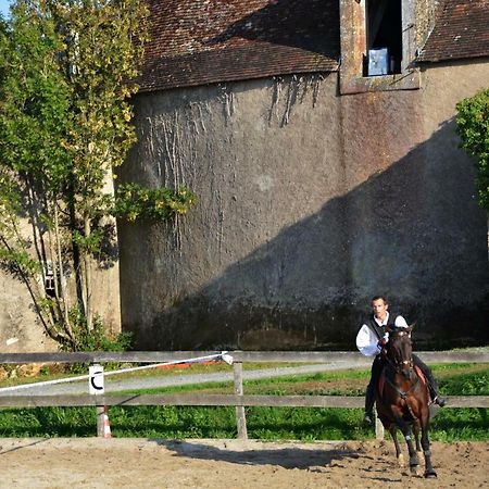 Chateau Des Noces Bazoges-en-Pareds Exterior photo